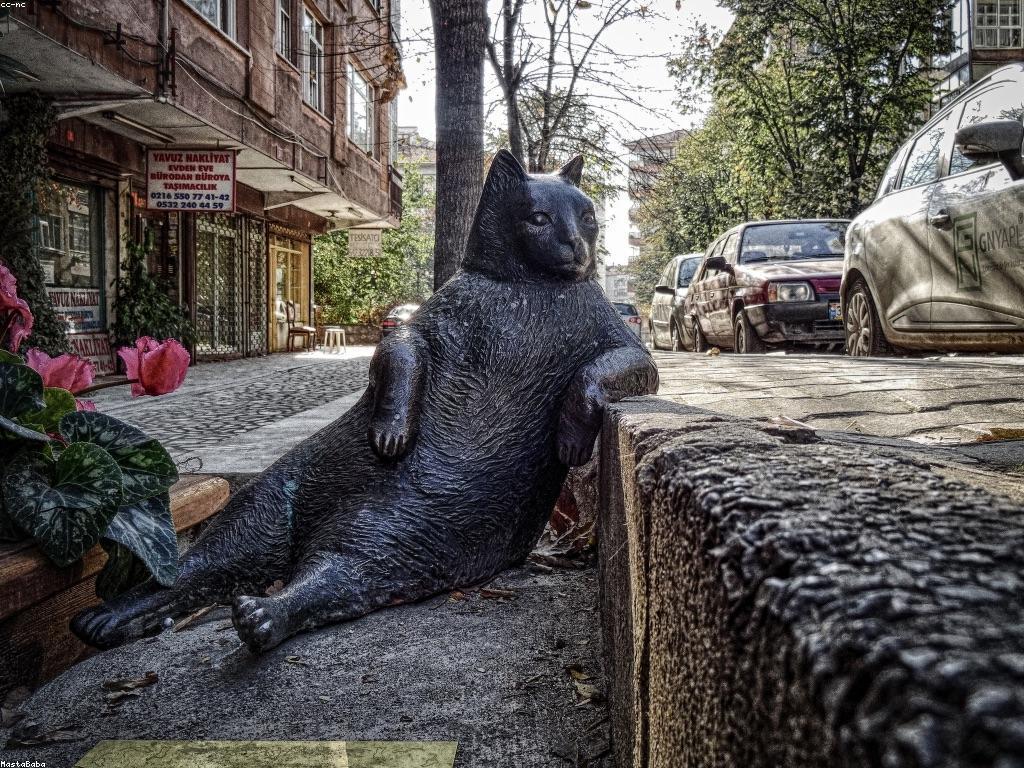 យុទ្ធសាស្ត្រការប្រកួតឆ្នោត: ជំហានដើម្បីឈ្នះ