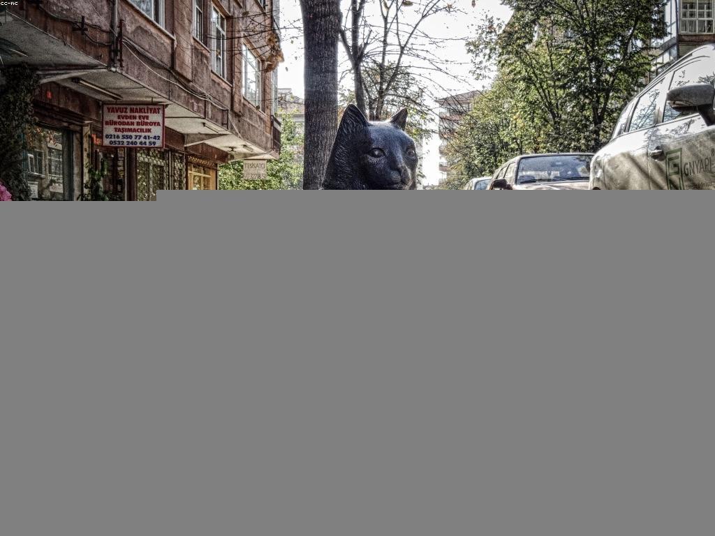 យុទ្ធសាស្ត្រនិងឱកាសសម្រាប់ការប្រកួតឆ្នោត