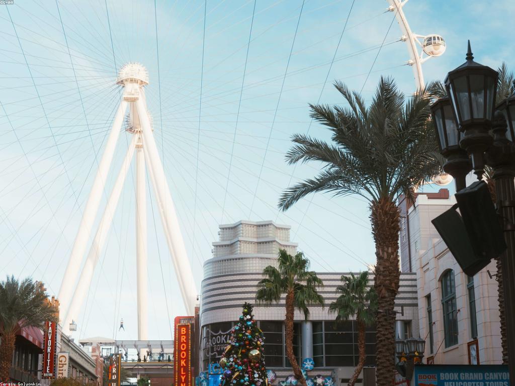 សំណាងចូលឆ្នាំ: របៀបបង្កើនសំណាងឲ្យខ្លួនឯង