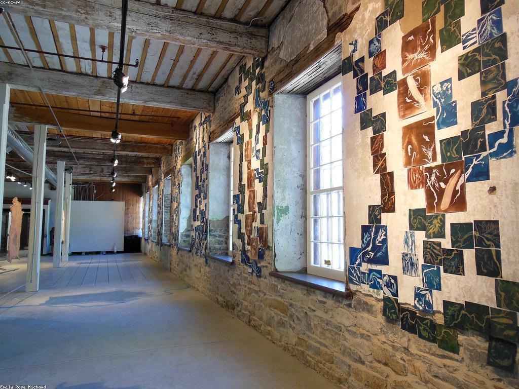 ααΆαα
αΌααα½α: α’αα»ααααΆαααΈαα αα·αααΆααααααΆαααααα»αααααα