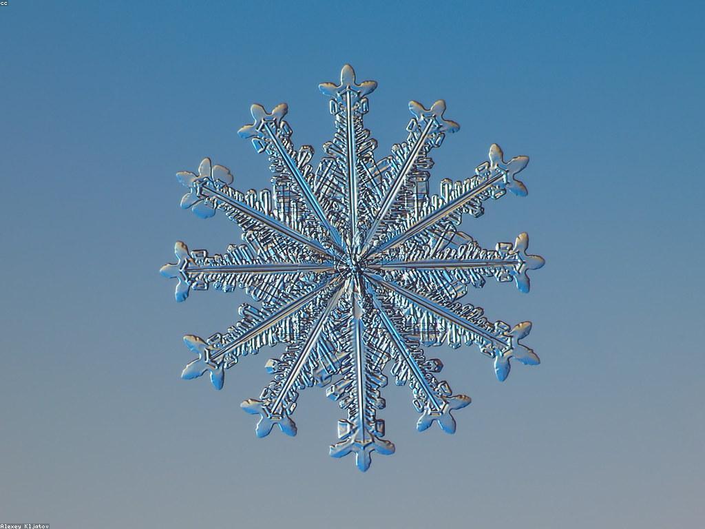 αααα·αα’αααααααααΆααααααΆαααα·αααααααα· αα·ααααα½ααΆα